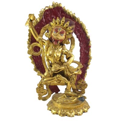 Buddhist Statue Of Simhamukha Yogini, Senge Dongma, Full Fire Gold Plated, Painted Face, Old Stock, Rare Find