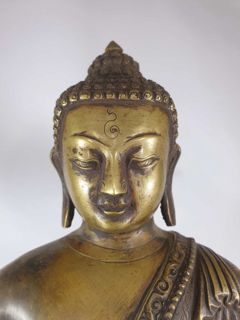 Buddhist Statue of Medicine Buddha (Bronze Finishing) - Image 3