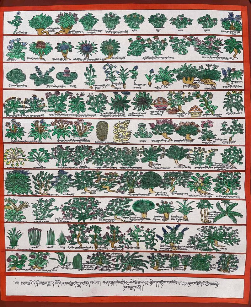 Buddhist Handmade Thangka Painting – Medical Thangka (Hand-Painted) - Image 2