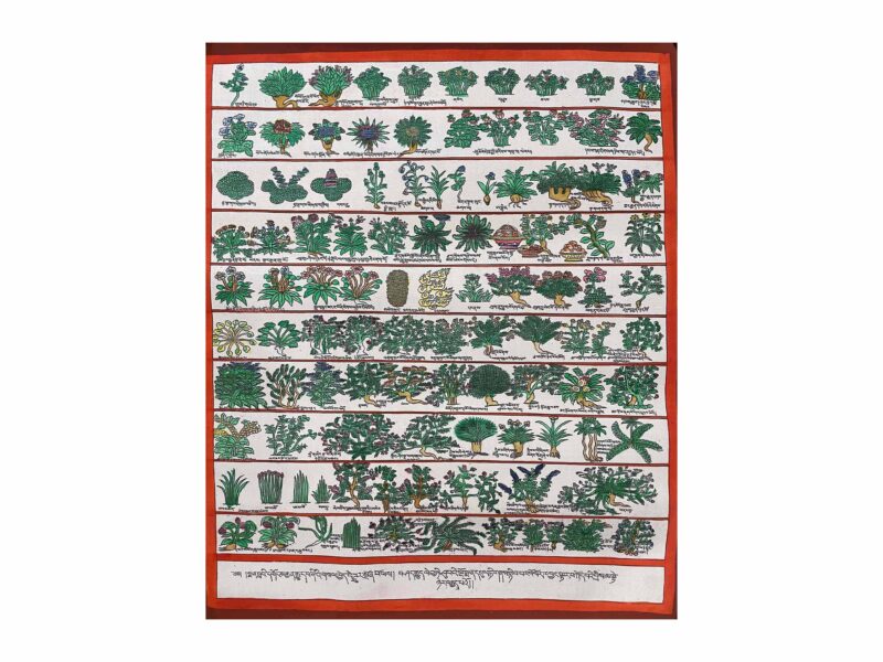 Buddhist Handmade Thangka Painting – Medical Thangka (Hand-Painted)