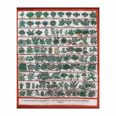 Buddhist Handmade Thangka Painting – Medical Thangka (Hand-Painted)